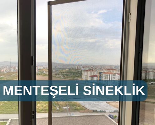 Sineklik Sistemleri